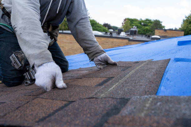Best Metal Roofing Contractor  in Hampton, MD