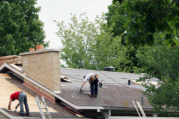 Best Storm Damage Roof Repair  in Hampton, MD
